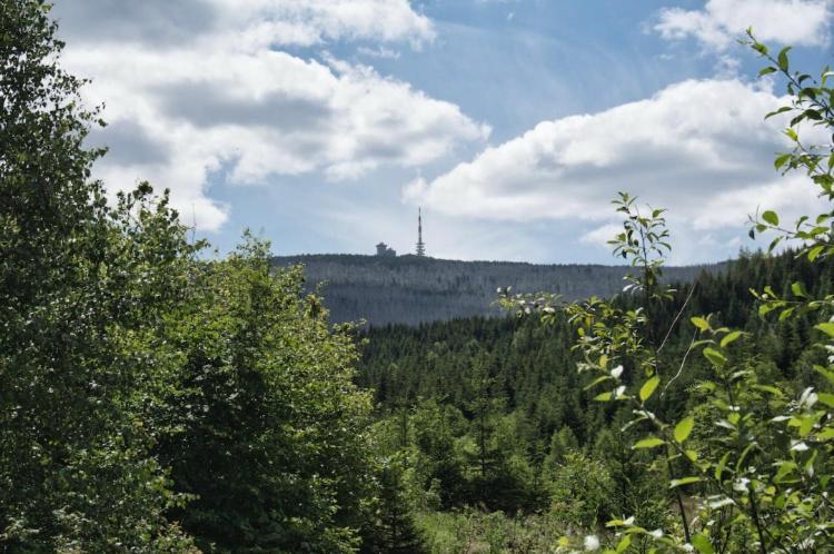 Willa Js Feriendomizile Haus Abendrot Hasselfelde Zewnętrze zdjęcie